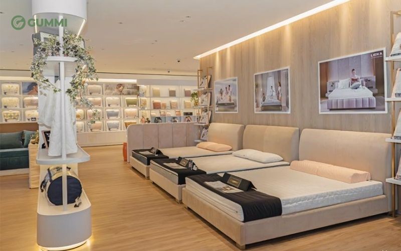 10+ Cửa hàng nệm Quận 3 uy tín, chất lượng, giá tốt 8 Cửa hàng nệm Liên Á