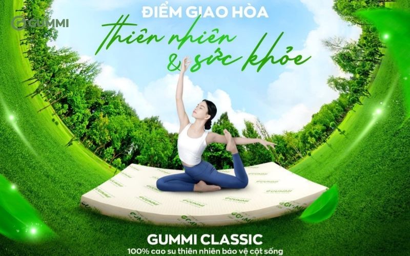 Top 10+ cửa hàng nệm Quận 7 chính hãng, giá tốt, đáng mua 2026 8 Gummi cho ngủ thử 120 đêm