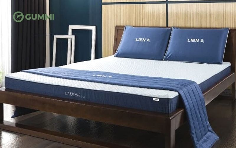 Top 12 cửa hàng nệm Quận 8 uy tín cho mọi gia đình 11 Cửa hàng nệm Quận 8 Liên Á