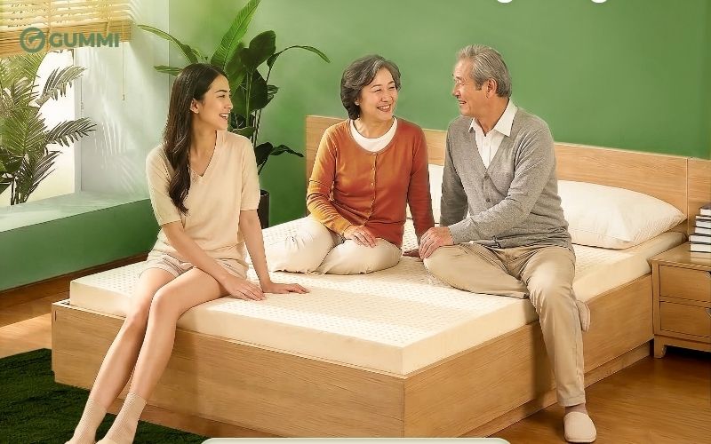 Top 10 cửa hàng nệm Tiền Giang giá tốt, giao hàng tận nơi 2 Gummi - nệm cao su thiên nhiên Tiền Giang