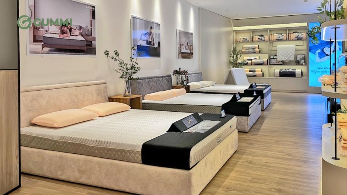 Gợi ý TOP 10 cửa hàng nệm Vĩnh Long uy tín, giá tốt