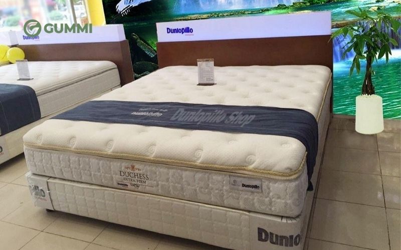 Khám phá 10 cửa hàng nệm quận Phú Nhuận uy tín, giá tốt 8 Dunlopillo là một trong những thương hiệu nệm cao su thiên nhiên lâu đời và danh tiếng thế giới