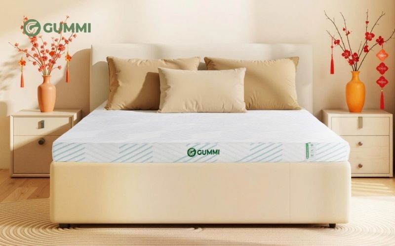 Danh sách 10 cửa hàng nệm Thái Bình chất lượng bạn nên biết 2 Gummi - Địa chỉ mua đệm Thái Bình online uy tín