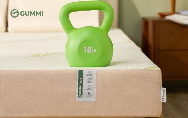 Top 15 cửa hàng bán nệm tại TPHCM uy tín, giá tốt 14 Lựa chọn sản phẩm nệm từ thương hiệu uy tín