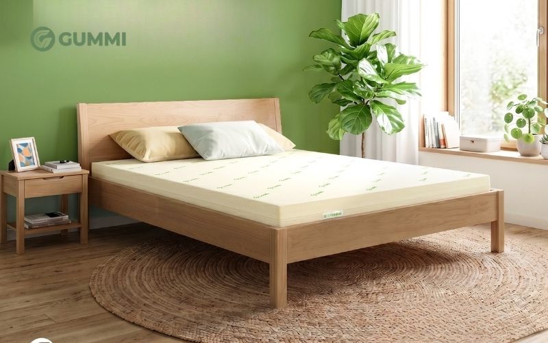 Top 10 mẫu nệm mỏng được ưa chuộng nhất hiện nay 9 Mua nệm mỏng chất lượng tại Gummi