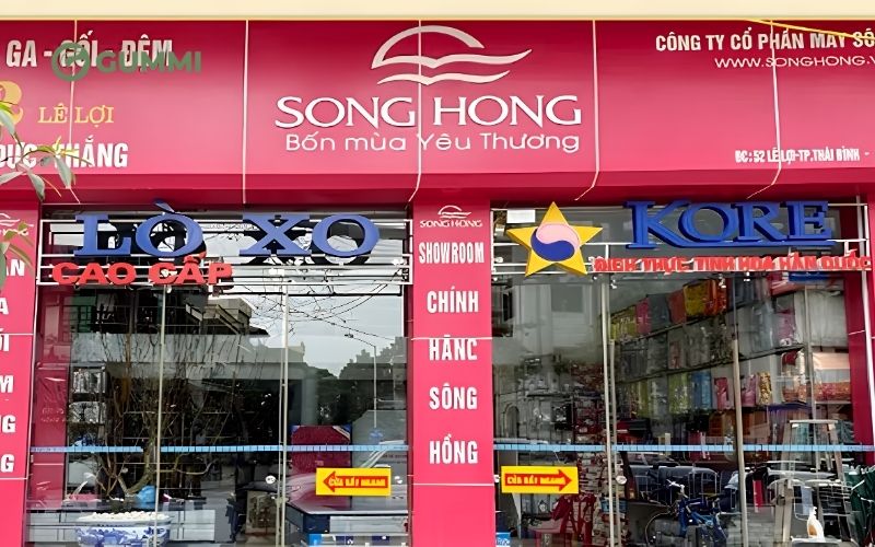 Danh sách 10 cửa hàng nệm Thái Bình chất lượng bạn nên biết 4 Nệm Đức Thắng Thái Bình