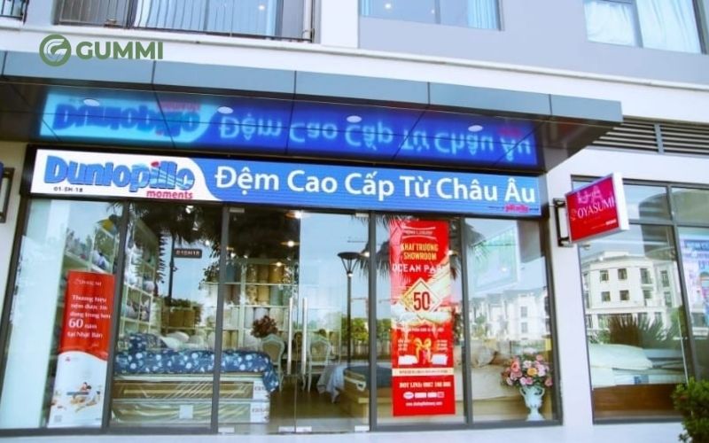 Dunlopillo phù hợp với nhóm khách hàng tìm kiếm phân khúc cao cấp