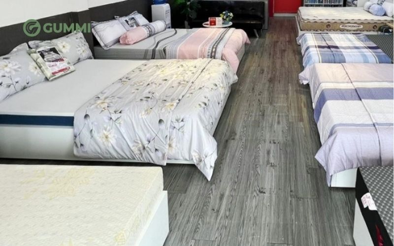 Review 10+ cửa hàng nệm Lạng Sơn uy tín, giá hợp lý 2026 5 Kim Dân