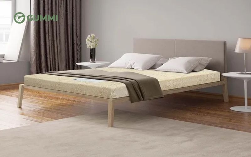 Top 10 mẫu nệm mỏng được ưa chuộng nhất hiện nay 7 Goodnight Eva