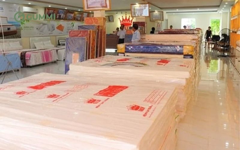Gợi ý top 10 cửa hàng nệm Bình Thạnh chất lượng, giá tốt 5 Nệm Vạn Thành cung cấp đa dạng các dòng nệm phù hợp với nhiều nhu cầu sinh hoạt khác nhau của từng gia đình