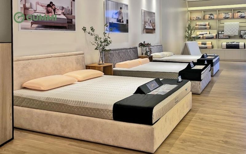 Khám phá top 10 cửa hàng nệm Lâm Đồng uy tín, giá tốt 9 Thanh Thương là cửa hàng chuyên cung cấp nhiều dòng nệm