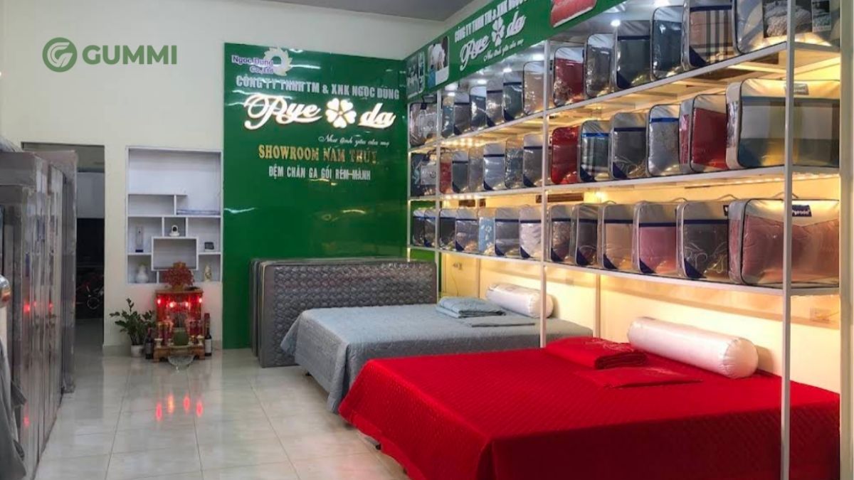 Top 10 cửa hàng nệm Hải Phòng chất lượng, nhiều ưu đãi 5 Trung Mỹ là cửa hàng đệm Hải Phòng lâu năm