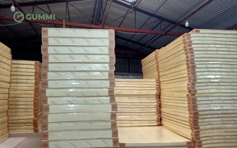 Trường Phát là một cửa hàng nệm Cần Thơ được nhiều khách hàng biết đến