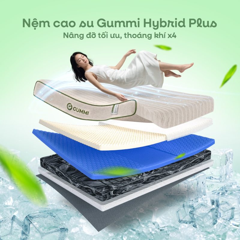 Nệm cao su Gummi Hybrid Plus nâng đỡ tối ưu