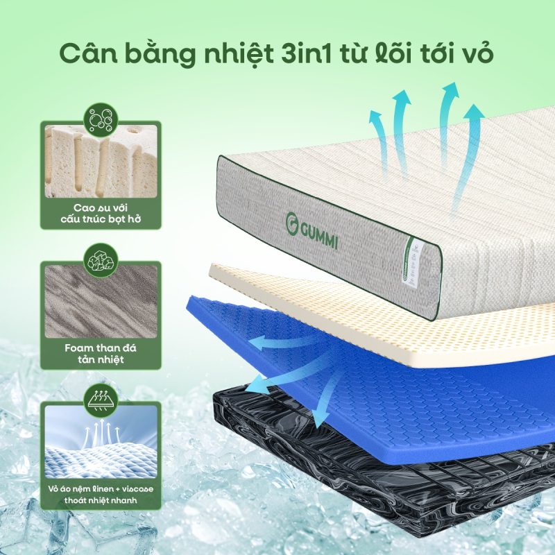 Cân Bằng Nhiệt Toàn Diện Từ Lõi Tới Vỏ