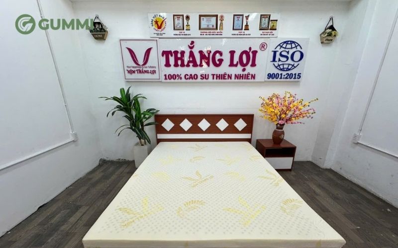 Top 10 cửa hàng nệm Bạc Liêu chất lượng, đáng tin cậy 12 Các dòng nệm cao su non Thắng Lợi rất được ưa chuộng trên thị trường
