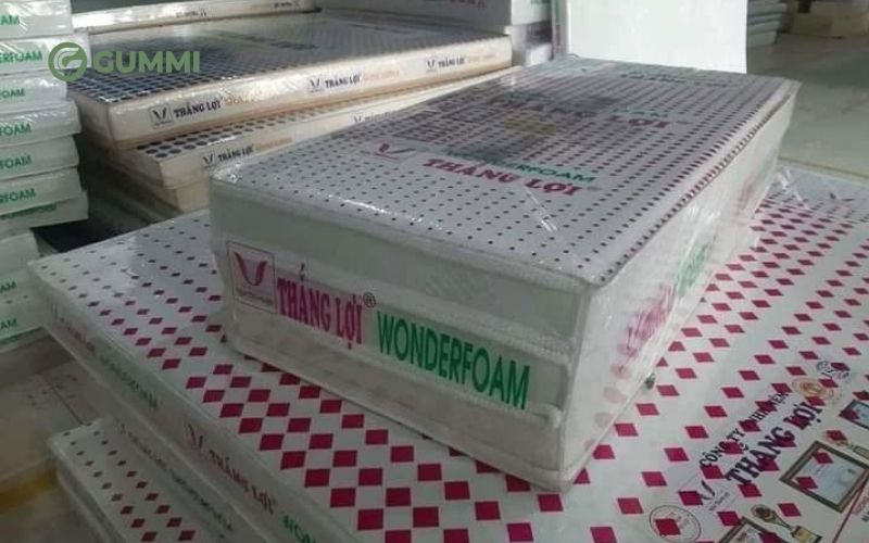 Top 12 cửa hàng nệm Bến Tre giá tốt, uy tín, chất lượng 13 Kho nệm miền Tây