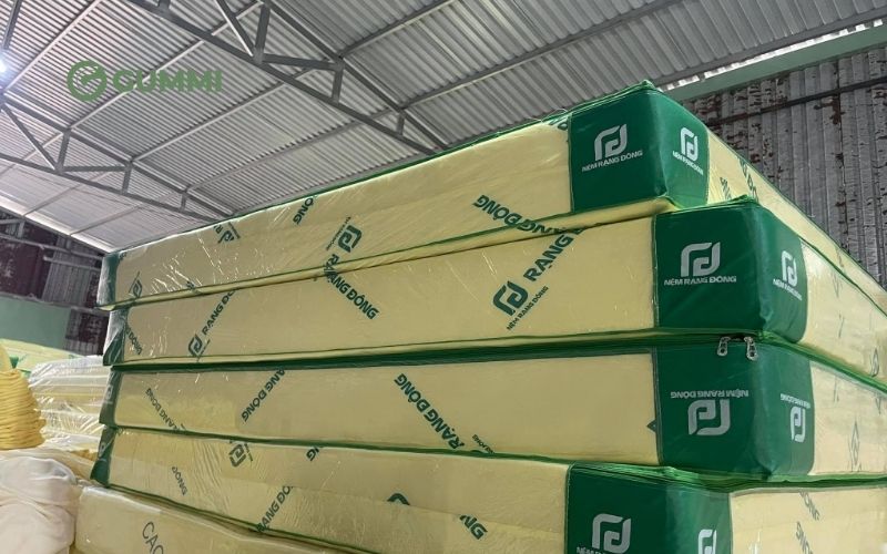 Top 12 cửa hàng nệm Bến Tre giá tốt, uy tín, chất lượng 11 Cửa hàng nệm Bến Tre Rạng Đông
