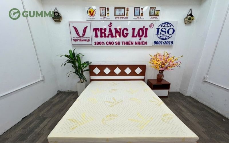 Top 10 cửa hàng nệm Bình Chánh chất lượng, đáng tin cậy 11 Nệm cao su non Thắng Lợi rất được ưa chuộng trên thị trường