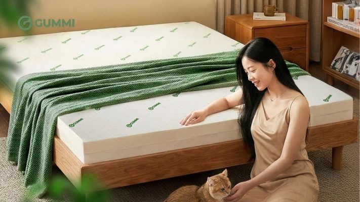 Top 15 cửa hàng nệm Hà Nội uy tín, chính hãng giá tốt hiện nay