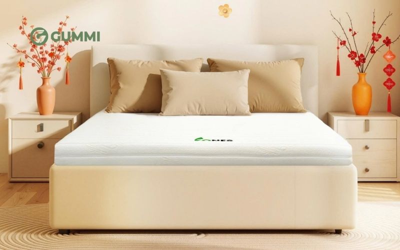 Nệm cao su cho nhà nghỉ Gummi 7zones 