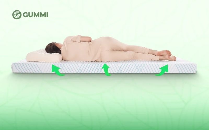 Độ êm ái và khả năng nâng đỡ cơ thể