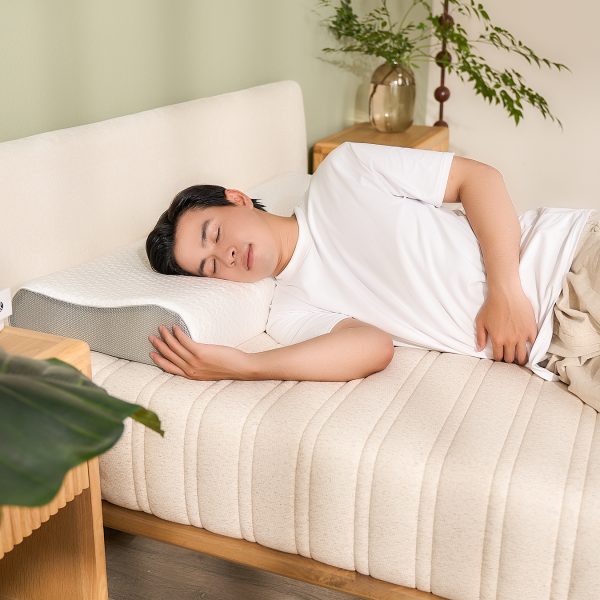 Nằm nệm cao su Gummi Hybrid Plus