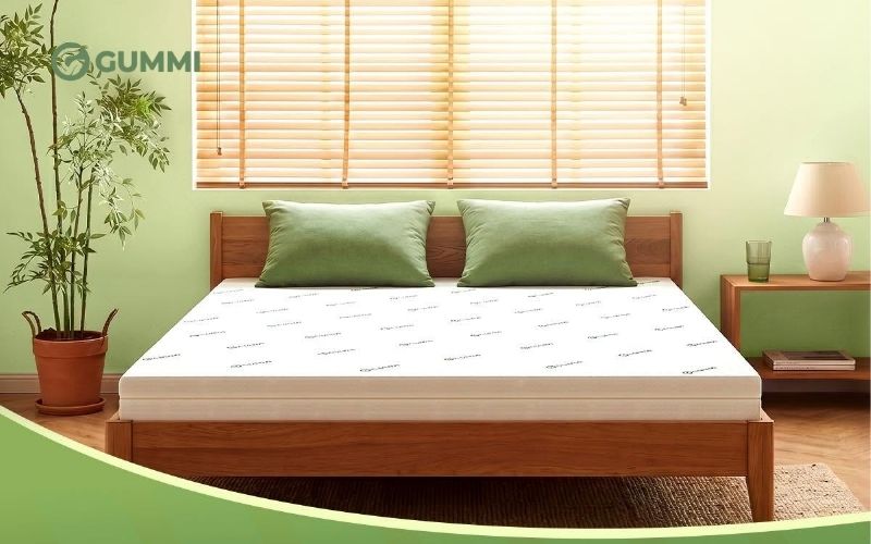Gummi là một thương hiệu đáng chú ý nhờ cân bằng tốt giữa độ êm ái, khả năng nâng đỡ và độ bền theo thời gian