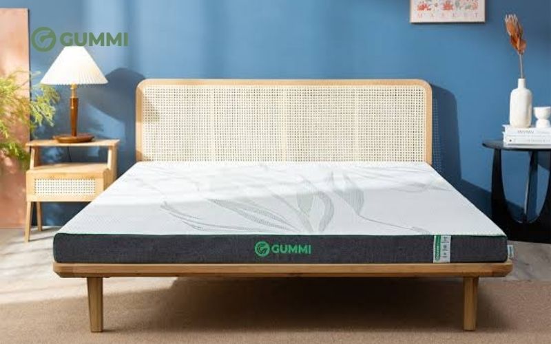 Nệm cao su than hoạt tính Gummi Premium