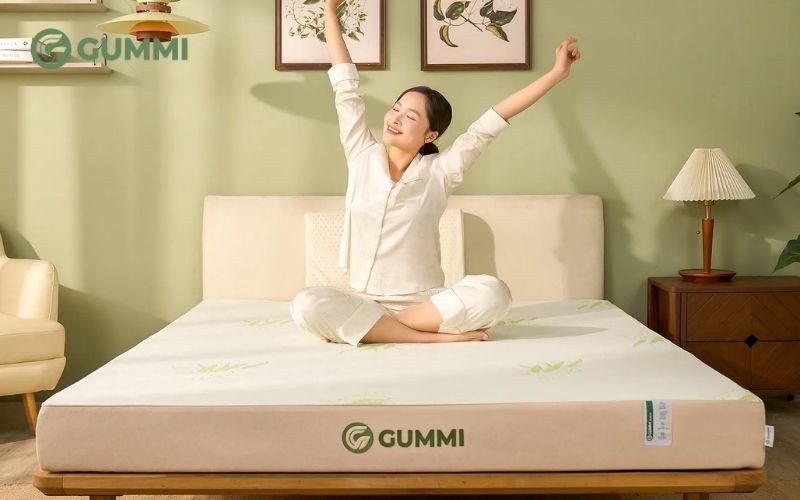 Nệm cao su đa tầng thế hệ mới Gummi Hybrid
