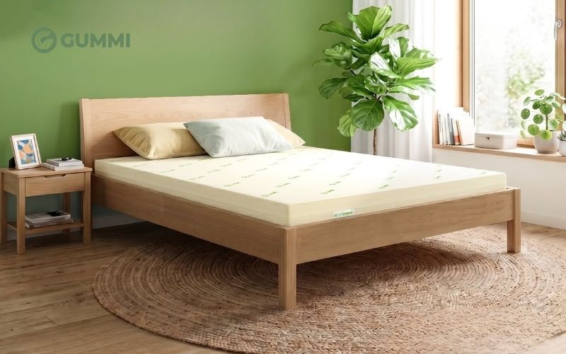 Top 10 cửa hàng nệm An Giang uy tín, chính hãng, giá tốt 2026 10 Sản phẩm nệm cao su chất lượng thương hiệu Gummi
