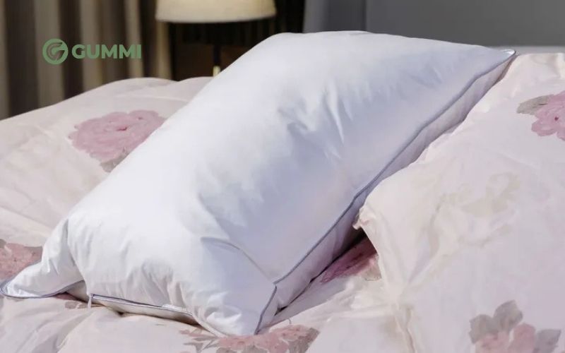 Gối điều hòa là gì? Top 6 sản phẩm được ưa chuộng hiện nay 6 Giang Sơn Down VIP
