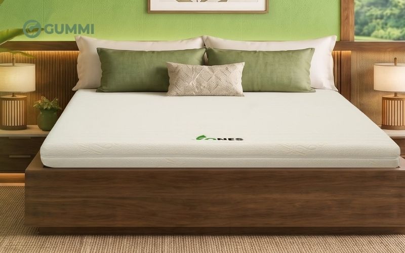 Mua nệm cao su thoáng khí, an toàn thương hiệu Gummi