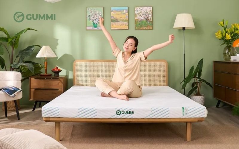 Từ A - Z cách làm sạch nệm hiệu quả, đơn giản và nhanh chóng 2 Nệm cao su thiên nhiên Gummi Signature
