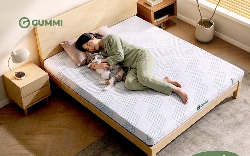 Nệm cao su Gummi đa dạng mẫu mã, độ dày - giải pháp thay thế 2 nệm chồng nhau