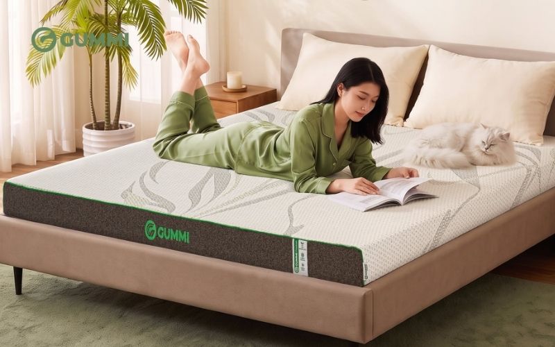 Nệm cao su than hoạt tính Gummi Premium